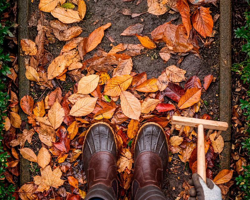 Как подготовить газон к зиме: пошаговый план ухода осенью